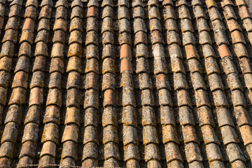 texture of the roof tile