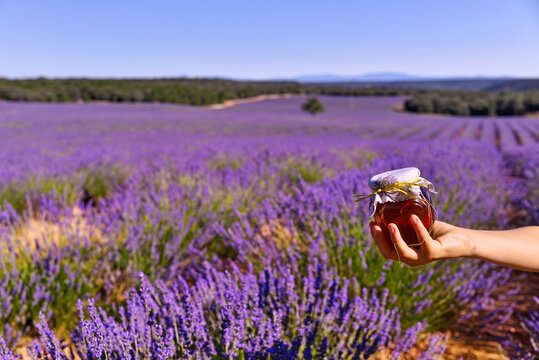 Briuhega, Spain: 07.04.2020; The lavender honet exposition