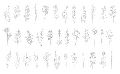 Set of linear contour sketch herbs. Floral collection.