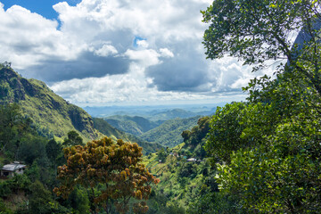 Fototapeta na wymiar Sri Lanka Mountains