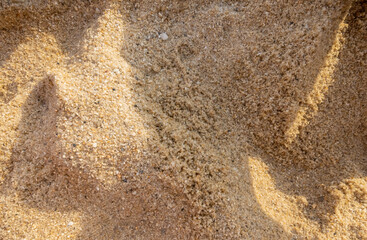 Sand background. Sand nature texture