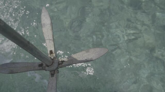 Piccola ancora su acqua limpida