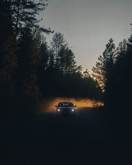 the car drives on a dusty road in the forest in the evening, the dust glows in the sun