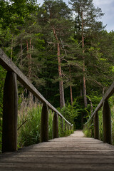 Fototapeta premium Natur 