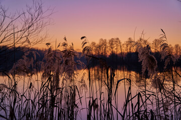 Naklejka premium Abendstimmung Winter