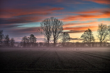 Morgendämmerung