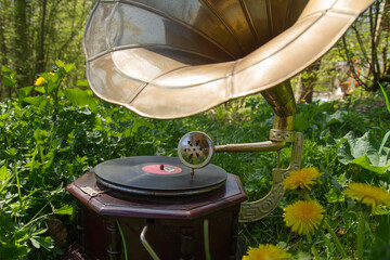 Old gramophone 
