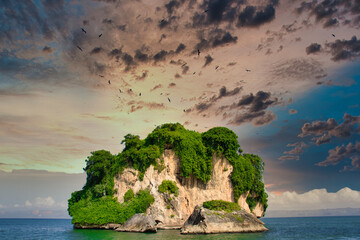 frigate birds over an island in the caribbean