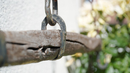 Garden impressions on a sunny summer day in Fulda, Germany.