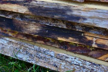 Wooden planks for construction on green grass