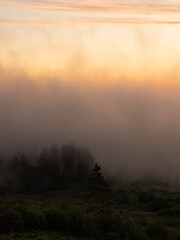 Paysage forêt de sapins enveloppée dans le brouillard du matin, photo de Haute-Savoie, Voirons
