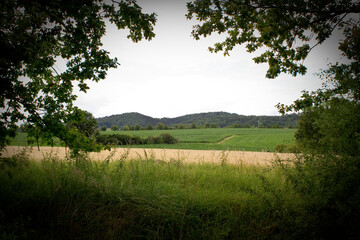 Fototapeta na wymiar Landschaft im Sommer , Fotografiert in Bayern