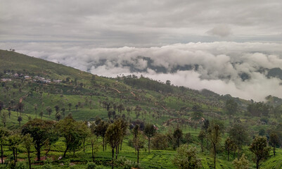 Fototapeta na wymiar clouds ofer tea estate