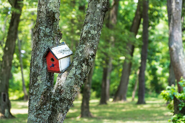 red and white bird house wedged between the v of two tree trunks with bright green foliage in soft focus behind