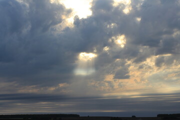 Naklejka premium природа