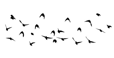A flock of flying birds. Vector illustration