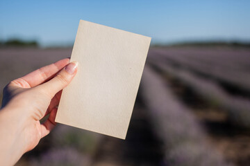 card in hand with lavender and envelope. invitation in minimalist style with flowers