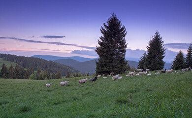 Polish mountains, mountain lamdscape,