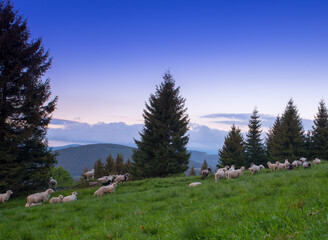Polish mountains, mountain lamdscape,