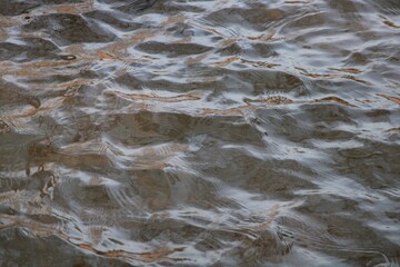 agua estanque
