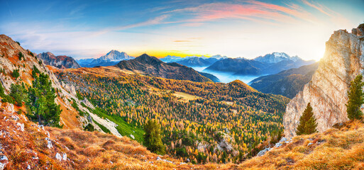Awesome autumn in Dolomite Alps with larches i and mountaines Marmolada and Monte Civetta at sunset.