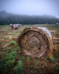 bale of hay