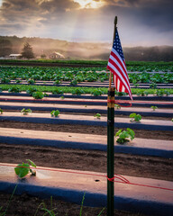 american flag on the beach