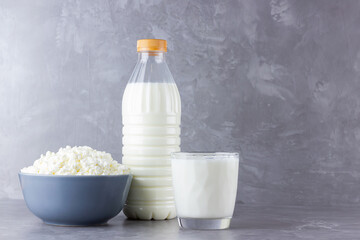 Various dairy products. Healthy dairy products on a gray background. Milk and cottage cheese. Copy space