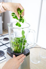 Girl hands prepare a green smoothie, puts fresh spinach leaves in a blender. Healthy eating concept. Vegetarianism, vegan food, fitness food, detox, youth preservation