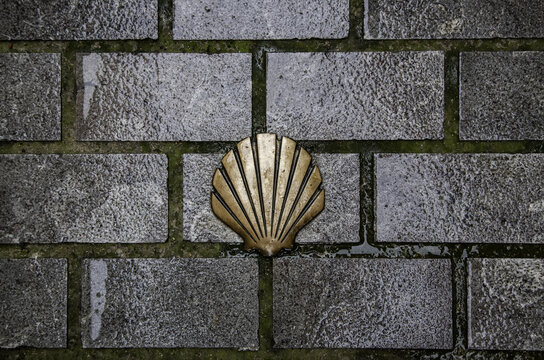 Shell Camino Santiago ground