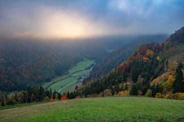 Road leading to Logar valley in Slovenia