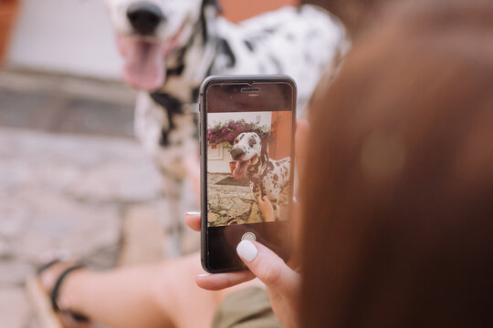 Pretty woman with long brown hair taking a picture of her Dalmatian dog sitting 