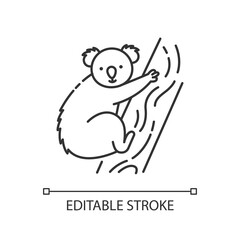 Koala pixel perfect linear icon. Exotic wildlife thin line customizable illustration. Contour symbol. Adorable koala bear sitting on eucalyptus tree vector isolated outline drawing. Editable stroke
