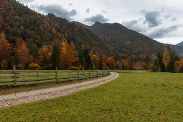 Trail leading into the forest Slovenian alps