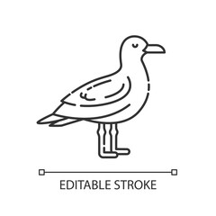 Seagull pixel perfect linear icon. Common seabird, ordinary flying animal. Beaches inhabitant. Thin line customizable illustration. Contour symbol. Vector isolated outline drawing. Editable stroke