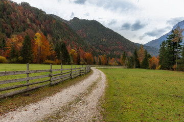 Trail leading into the forest Slovenian alps