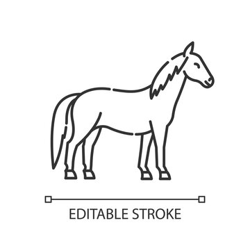 Horse pixel perfect linear icon. Wild stallion, common steed. Equestrian sport, horse breeding thin line customizable illustration. Contour symbol. Vector isolated outline drawing. Editable stroke