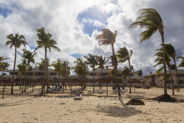 tropical beach with palm trees after storm