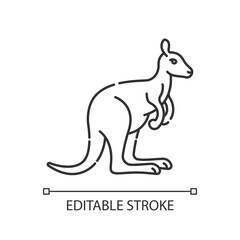 Kangaroo pixel perfect linear icon. Exotic wallaby, wallaroo. Australian fauna thin line customizable illustration. Contour symbol. Marsupial animal vector isolated outline drawing. Editable stroke
