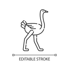 Ostrich pixel perfect linear icon. Ostrich farm, ornithology thin line customizable illustration. Contour symbol. Exotic bird with long legs vector isolated outline drawing. Editable stroke