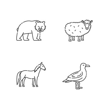 Domestic and wild animals pixel perfect linear icons set. Bear, seagull, horse and sheep customizable thin line contour symbols. Isolated vector outline illustrations. Editable stroke