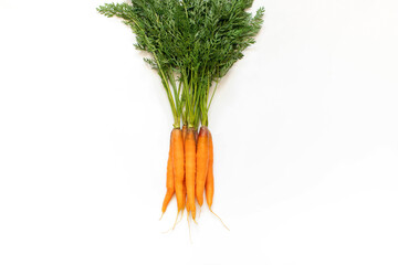 Young carrots with tops on a white background