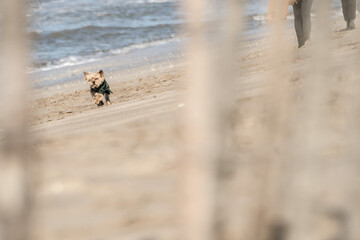 walking on the beach