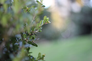 out of focus 