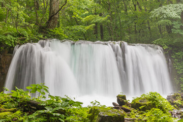 Oirase mountain stream in early summer