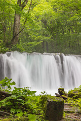 Naklejka premium Oirase mountain stream in early summer