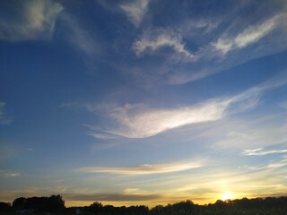 sunset over the field