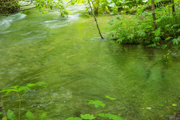 Oirase mountain stream in early summer