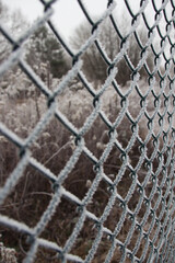 Frozen wire fence in winter