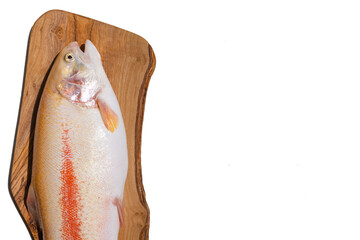 Raw fresh whole Gold Rainbow trout on cutting board, on white background, top view.